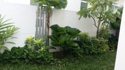 Datuk Chef Wan Residence - Case Study Photos